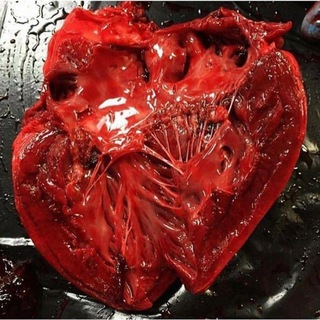 Логотип @medical_secrets - МЕДИЦИНСКАЯ ТАЙНА🩸
