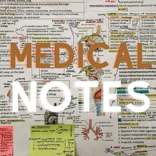 Логотип @medicalnotesaandm - Medical Notes "A&M"