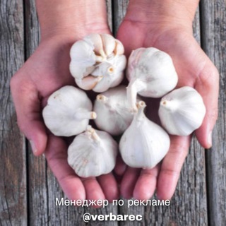 Логотип @medicina_narodnaya - Все о Народной Медицине