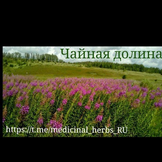 Логотип @medicinal_herbs_ru - Лечебные травы