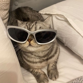 Логотип @medicine_sechenova_chat - Чат для общения 🦅