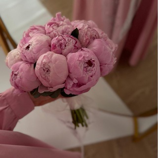 Логотип @medinnyaa - 𝑰𝑹𝑺𝑨𝑵 𝑺𝑬𝑫𝑨