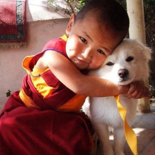 Логотип @meditando - meditando