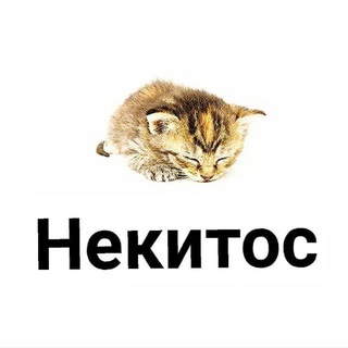 Логотип @mediynayablad - Некитос (mediynayablad)