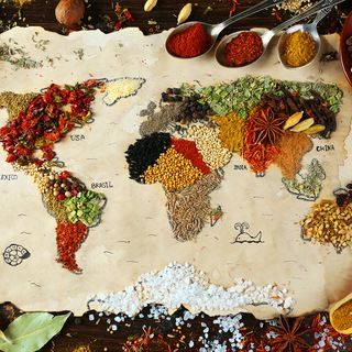 Логотип @medizin_der_erde_kanal - Medizin der Erde