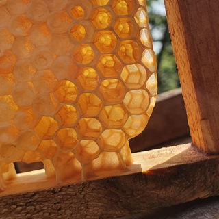 Логотип @medkaknado - Мед как надо ! Пасека Паутовых