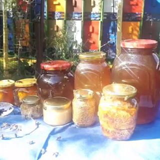 Логотип @medolov_life - Чат: Пчелопродукты, пчеловодство РФ 🇷🇺 (Апитерапия, Здоровье, ЭкоПчеловодство, Пасека, Eco, Bee, Beekeeping) Медолов