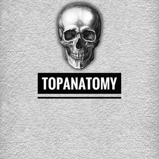 Логотип @medtopanatomy - TOPANATOMY