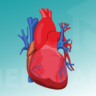 Логотип @meducationtalk - Обсуждаем Meducation