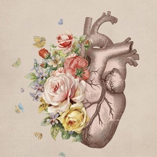 Логотип @meduniversi - Медицина|Материалы