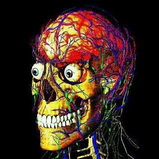 Логотип @meduniversityhelp - 🤯 Вижити в Меді 👨‍⚕️💉