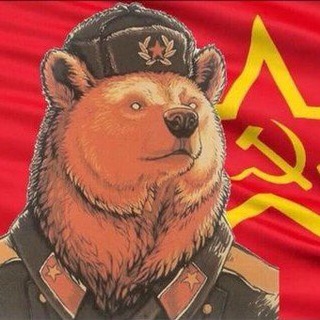 Логотип @medved7575 - Сам Себе Медведь чат
