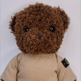 Логотип @medvedi_smysly - медведи и смыслы