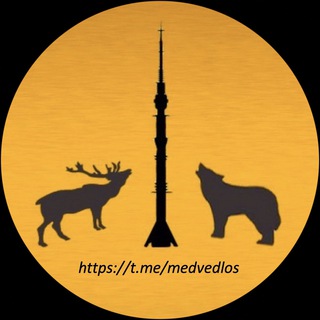 Логотип @medvedlos_chat - Чат Медведь и Лось. СВАО