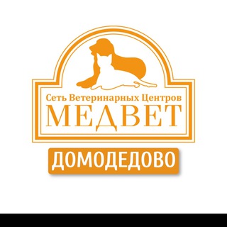 Логотип @medvetdmd - 🦮 МЕДВЕТ ДМД 🐈