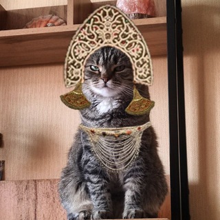 Логотип @medwiedma - • медвежий угол •