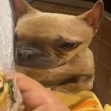 Логотип @meeeeeef11 - .