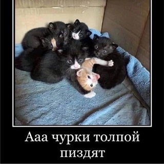 Логотип @meeeemtt - Сигма