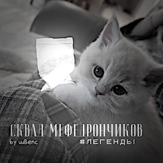 Логотип @mefedronscvad - Новости сквада от людей под мефедроном
