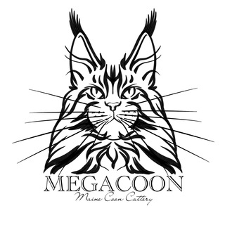 Логотип @megacoon24 - Мегакун питомник мейн кунов