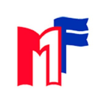 Логотип @megaflag - Megaflag