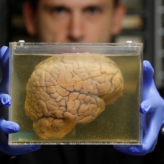 Логотип @megamozgach - ОБЛАСТИ ТЬМЫ