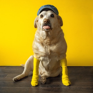 Логотип @megapolis_april_2021 - Чат Мегаполиса 2.0