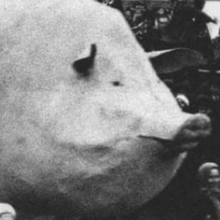 Логотип @megatiktoki - Заграничные Тиктоки от Илюхи