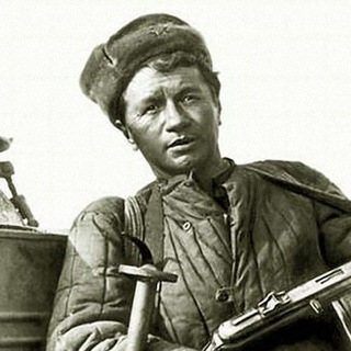 Логотип @megavata - Мега-Ватник - канал Владимира Букарского