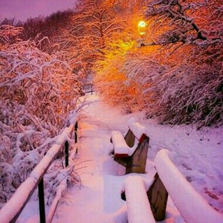 Логотип @mehrdary - ͜͡🌸͜͡፨͜͡MEXRIBONI͜͡M͜͡፨͜͡🌸