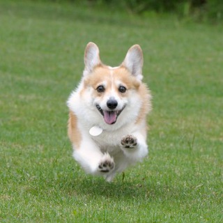 Логотип @meirl - Me_irl