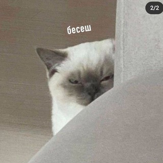 Логотип @melancholina - MelanchoLina✨