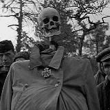 Логотип @melanfilms - melanfilms