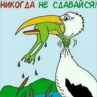 Логотип @melanoma_zhizn_vopreki - Melanoma_zhizn_vopreki