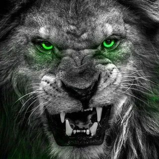 Логотип @melanxol1k_gr - 𝐗𝐎𝐋𝐄𝐑𝐈𝐊.𝟏 💬