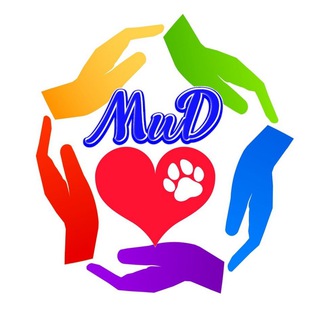 Логотип @melkashi_search_home - МиД Мелкаши ищут Дом