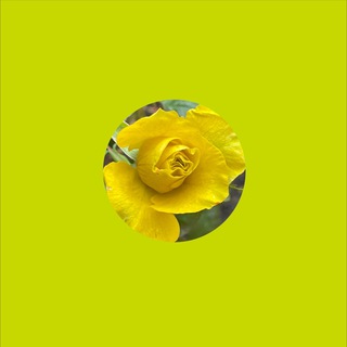 Логотип @melnizza1 - MelniZZa