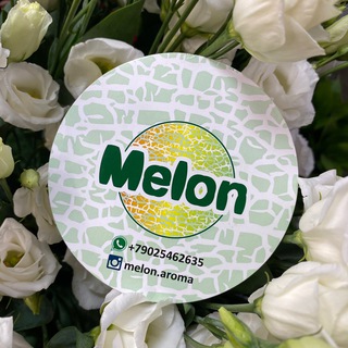 Логотип @melonirkutsk - Парфюмерные мастер-классы Иркутск. Melon