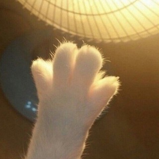 Логотип @melosblog - Хроники Мелоса