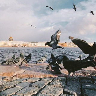 Логотип @melv1na - Ставки на спорт