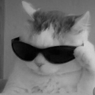 Логотип @mem1labchat - Попиздим?