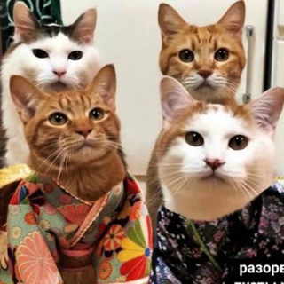 Логотип @mem_everyday - НикиМЕМаш