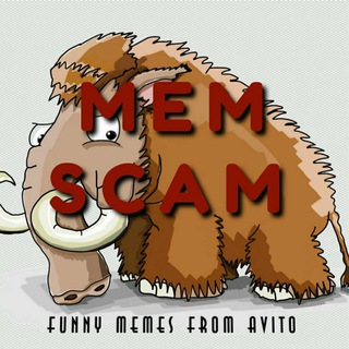 Логотип @mem_scam - Mem Scam