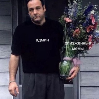 Логотип @memaspatrol - Картинки в стиле мэм