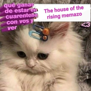 Логотип @memazoreloaded - The house of the rising memazo