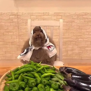 Логотип @membubik - Memes кружочки