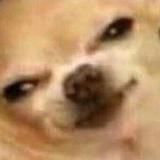 Логотип @memchikiotvikitamai - мемчики