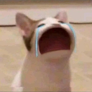 Логотип @memeallgame - MemeCheat💬