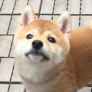 Логотип @memeimpact - Meme Impact