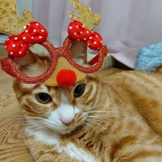 Логотип @memememcat - suni.shop